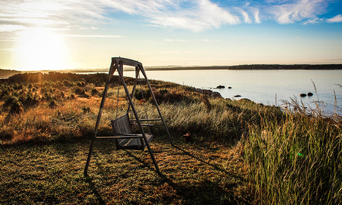 虚拟号码手机号发送平台