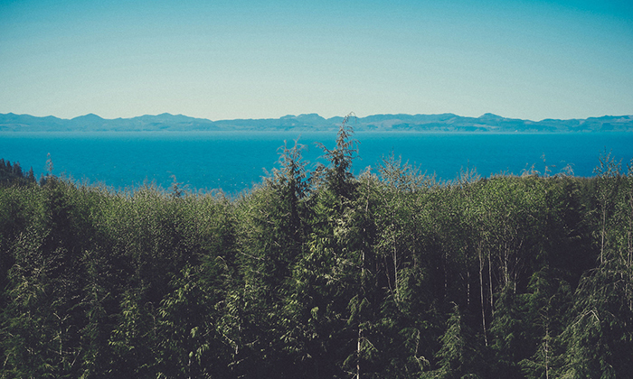 短信验证码轰炸免费